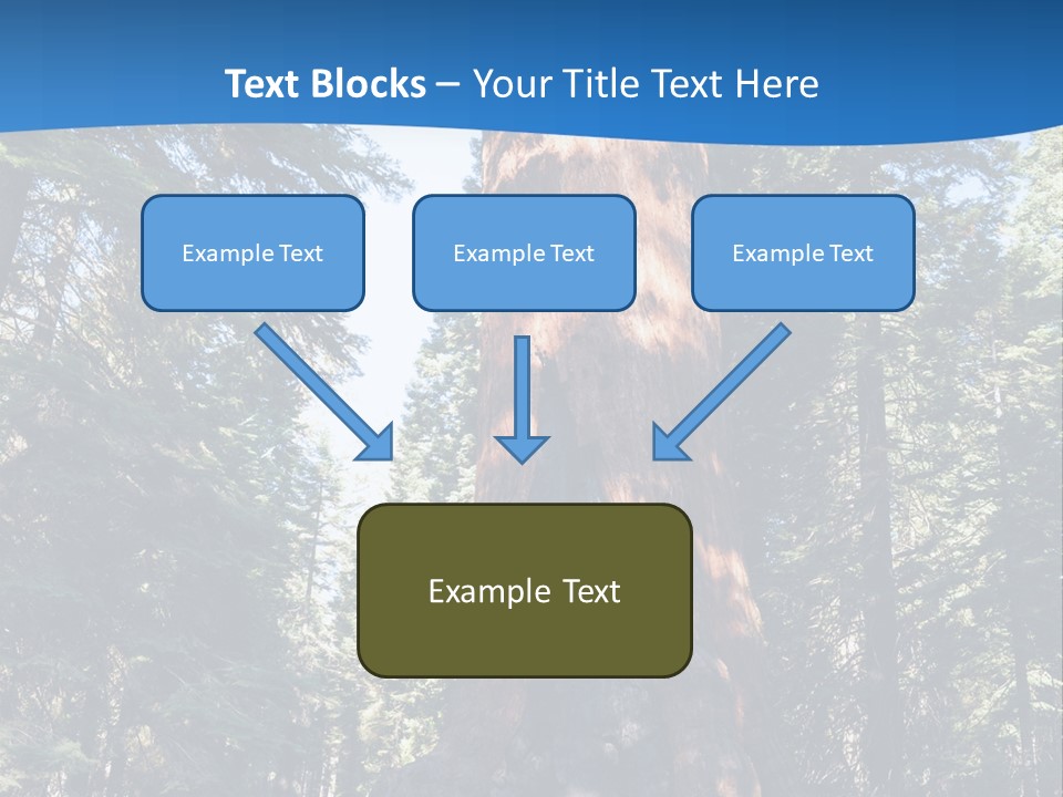 Tree Travel Usa PowerPoint Template