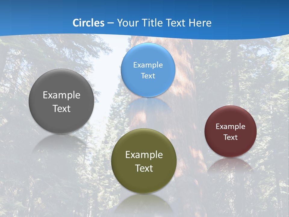 Tree Travel Usa PowerPoint Template