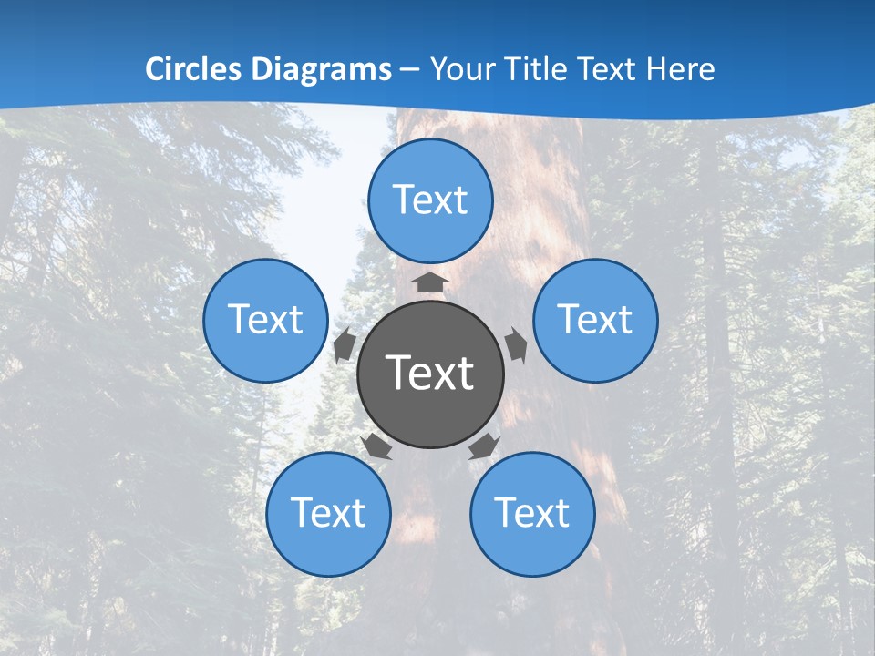 Tree Travel Usa PowerPoint Template