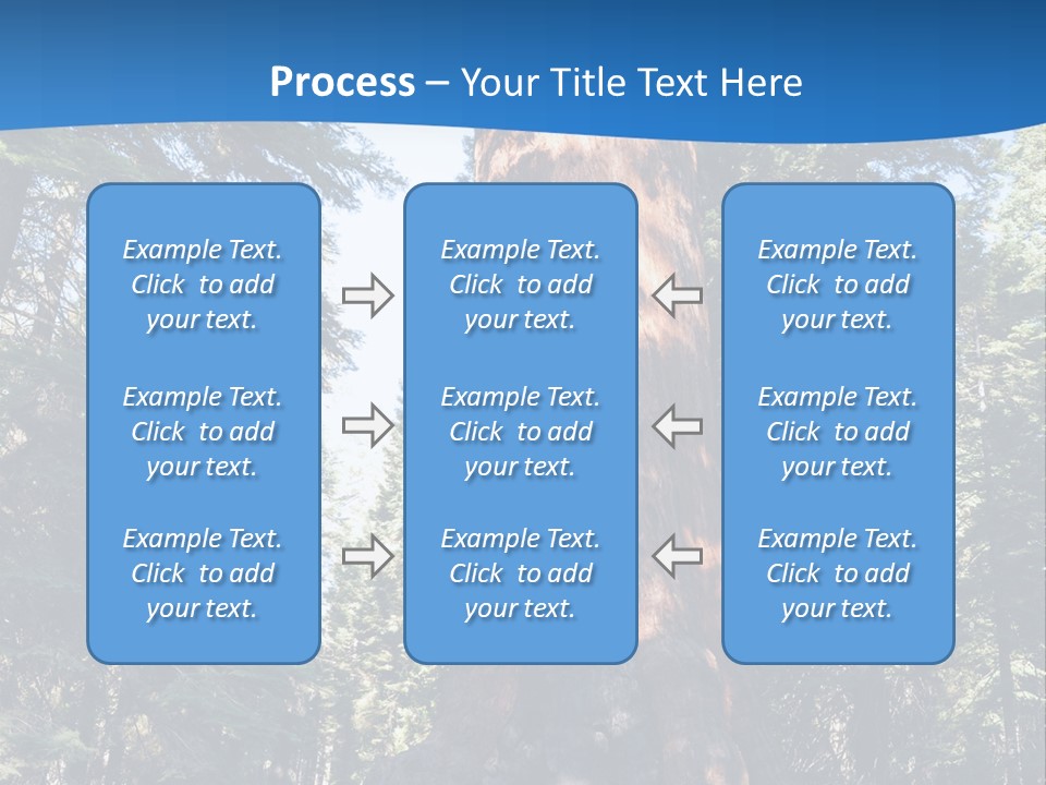 Tree Travel Usa PowerPoint Template