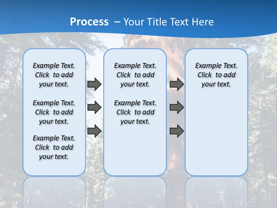 Tree Travel Usa PowerPoint Template