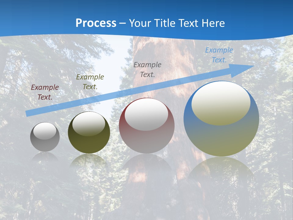 Tree Travel Usa PowerPoint Template