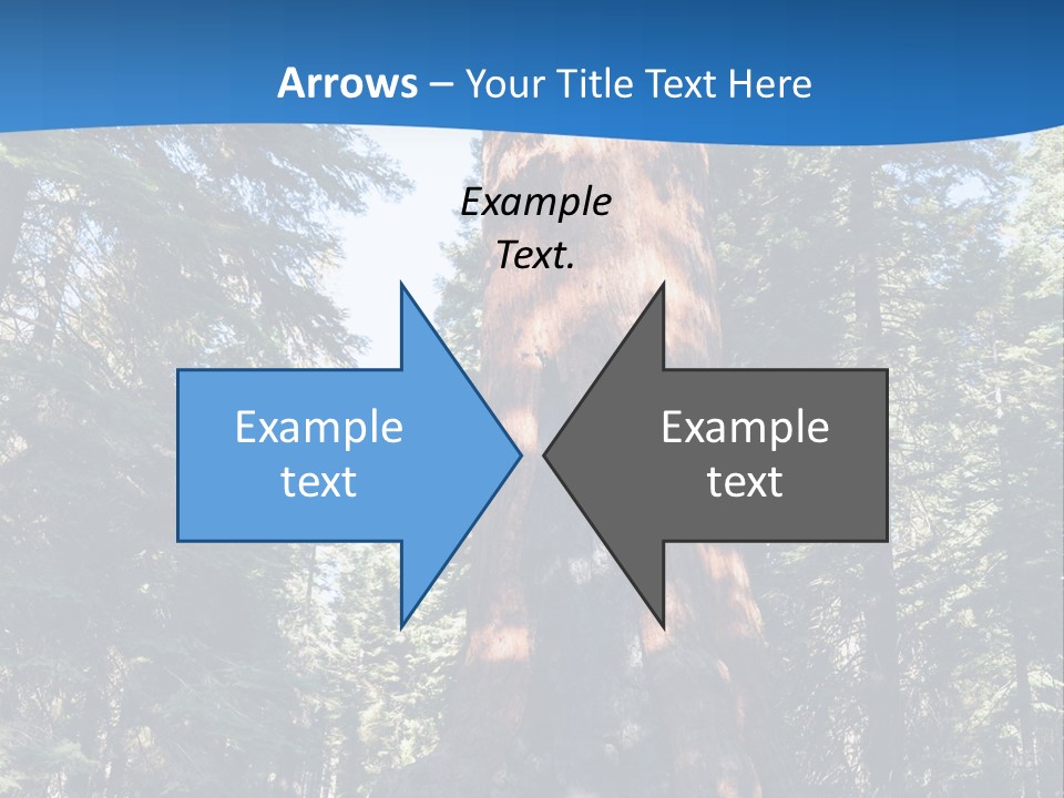 Tree Travel Usa PowerPoint Template