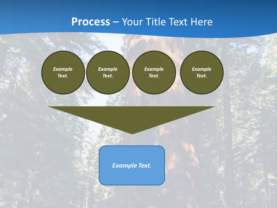 Tree Travel Usa PowerPoint Template