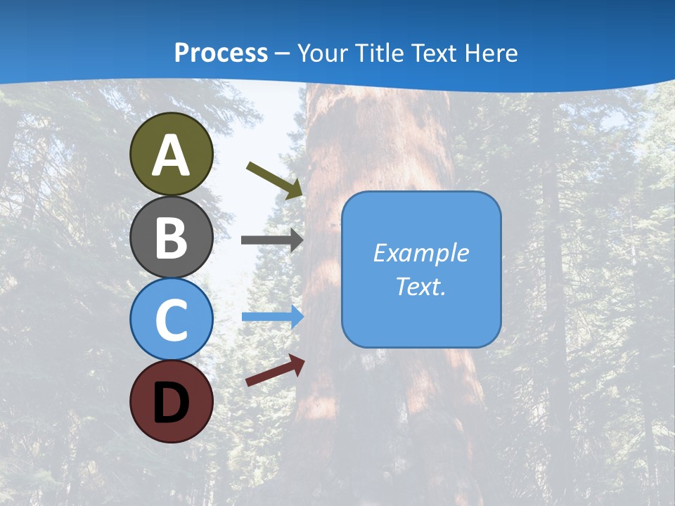 Tree Travel Usa PowerPoint Template
