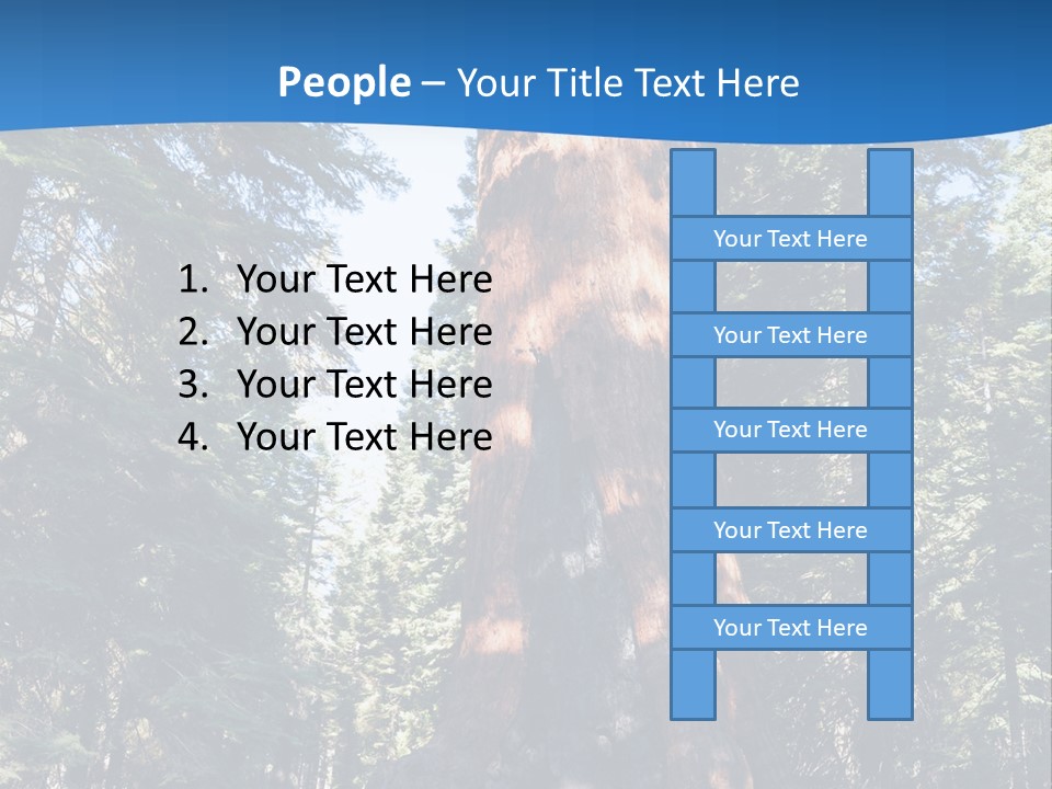 Tree Travel Usa PowerPoint Template