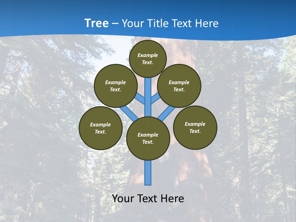 Tree Travel Usa PowerPoint Template