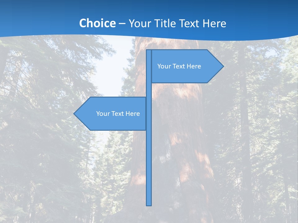 Tree Travel Usa PowerPoint Template