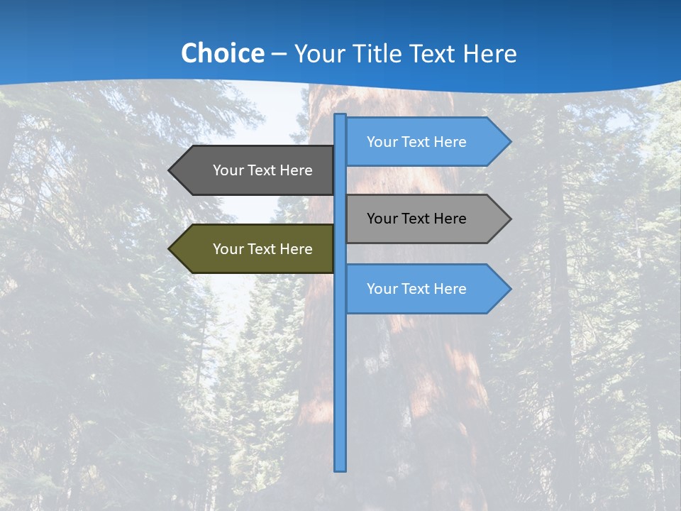 Tree Travel Usa PowerPoint Template