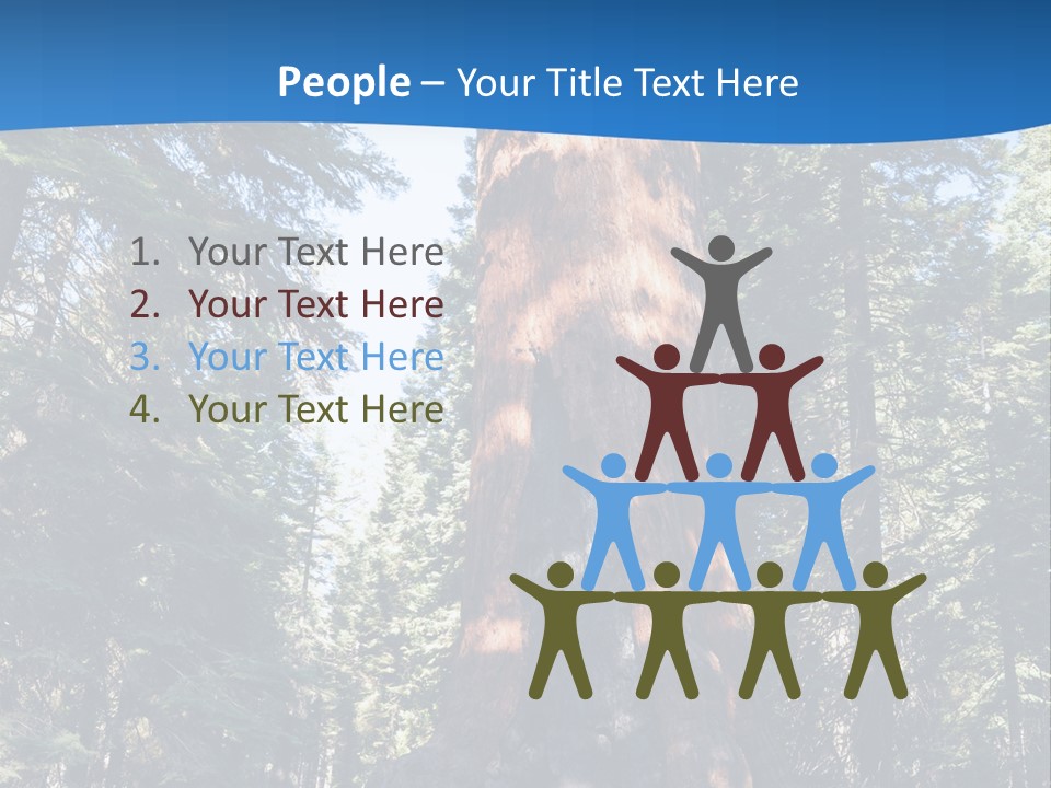 Tree Travel Usa PowerPoint Template