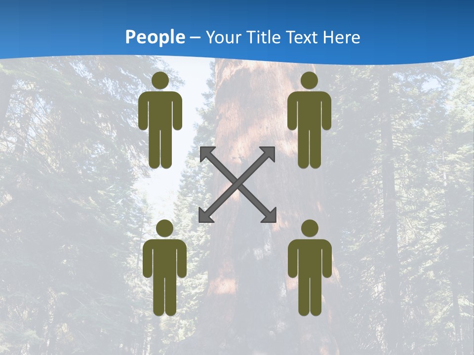 Tree Travel Usa PowerPoint Template