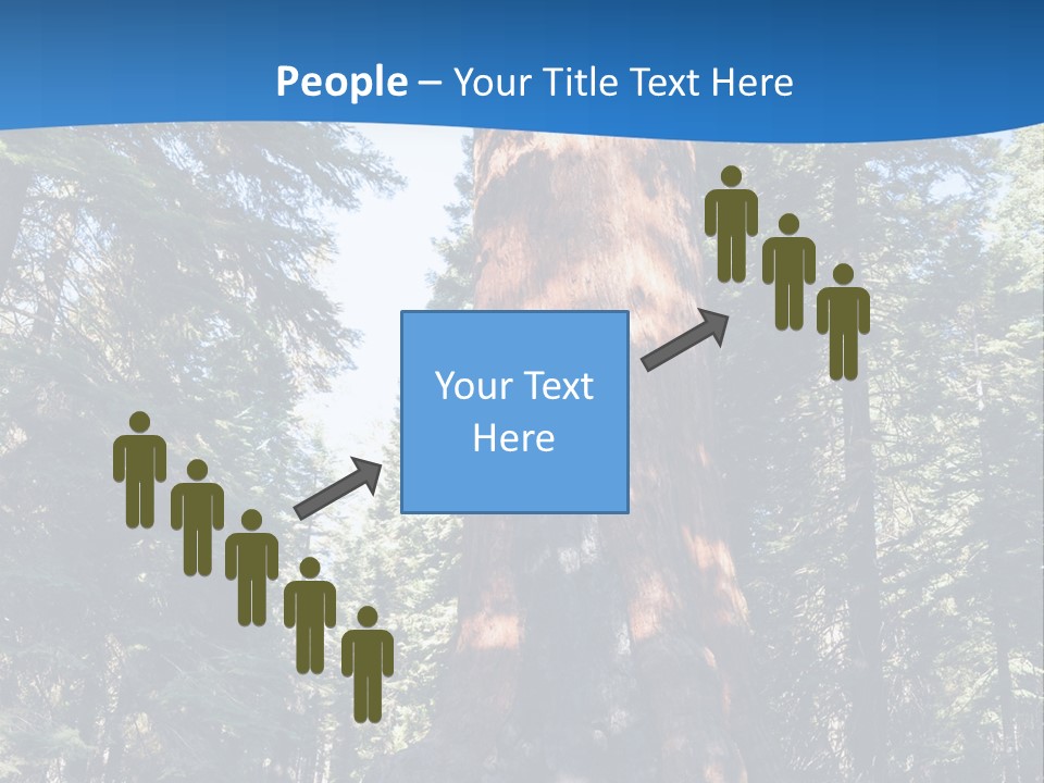 Tree Travel Usa PowerPoint Template
