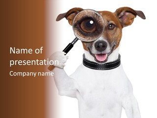 Animal Risk Baby PowerPoint Template