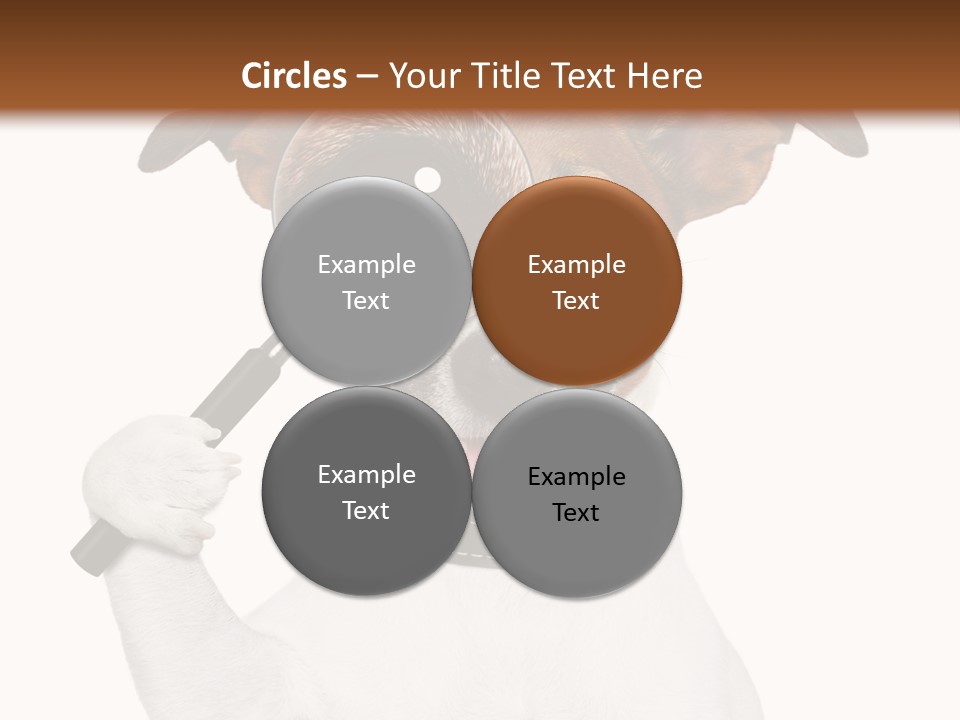 Animal Risk Baby PowerPoint Template