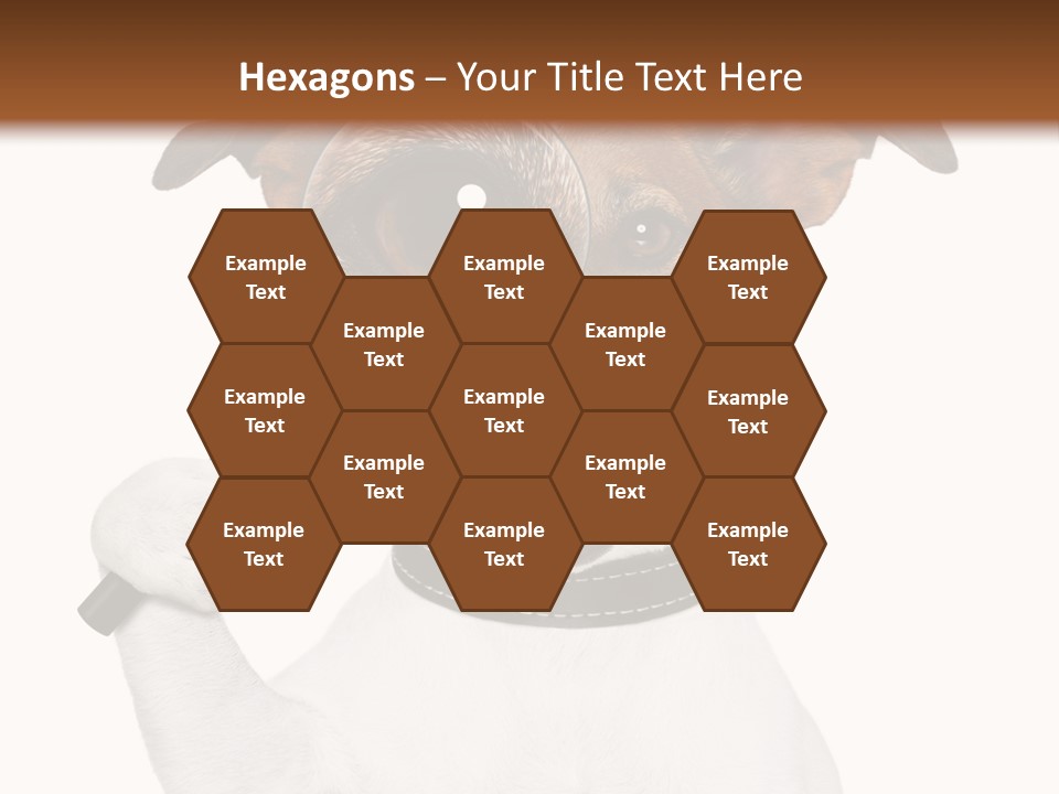 Animal Risk Baby PowerPoint Template