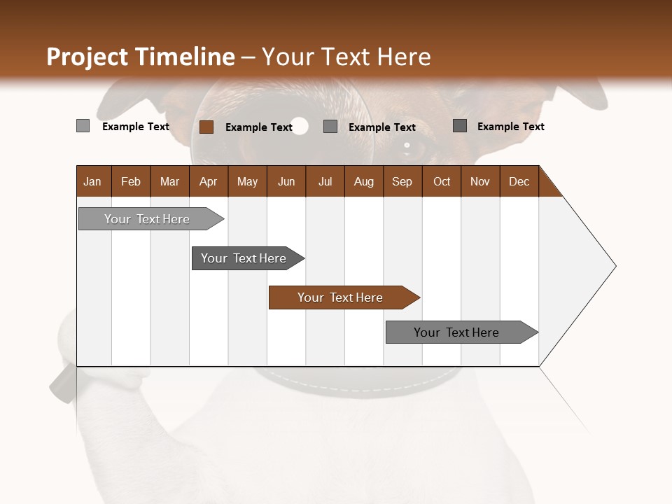 Animal Risk Baby PowerPoint Template