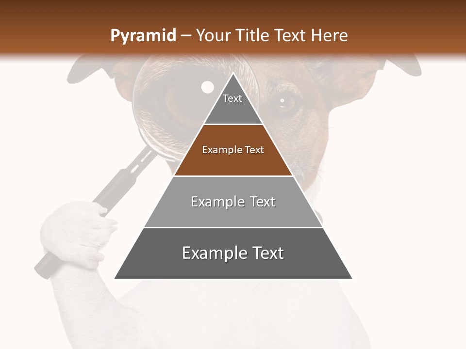 Animal Risk Baby PowerPoint Template