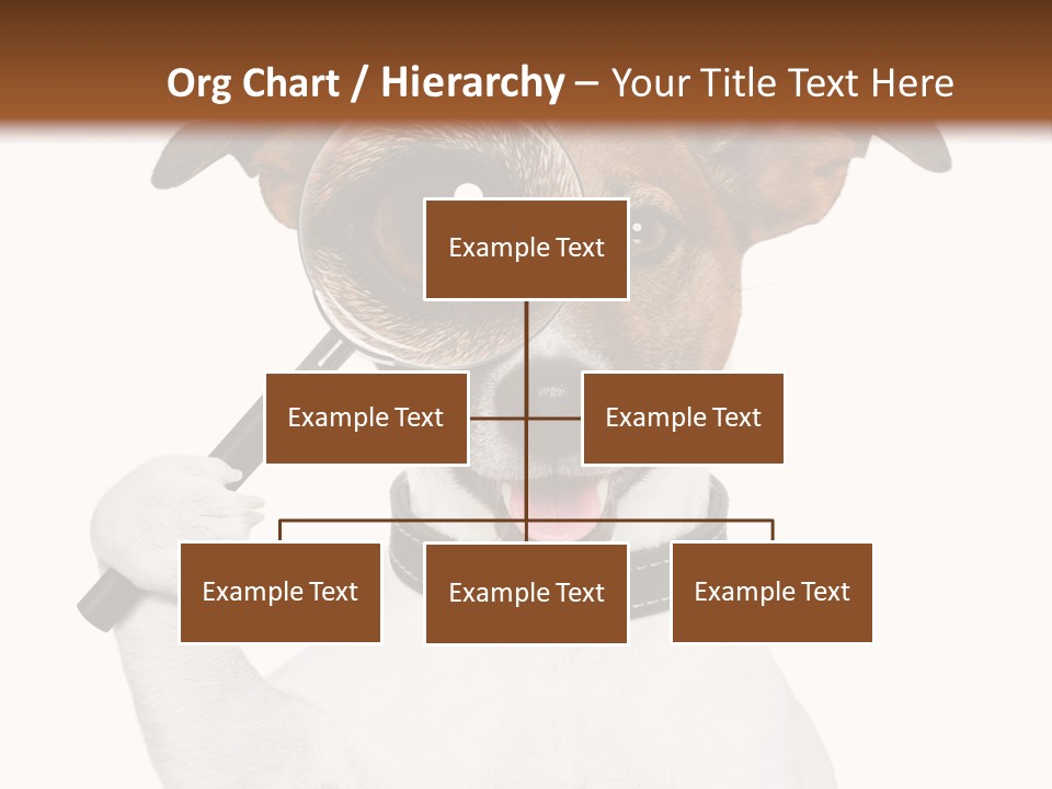 Animal Risk Baby PowerPoint Template