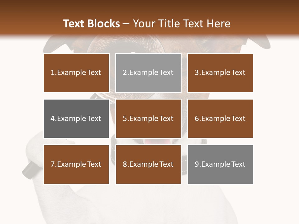 Animal Risk Baby PowerPoint Template