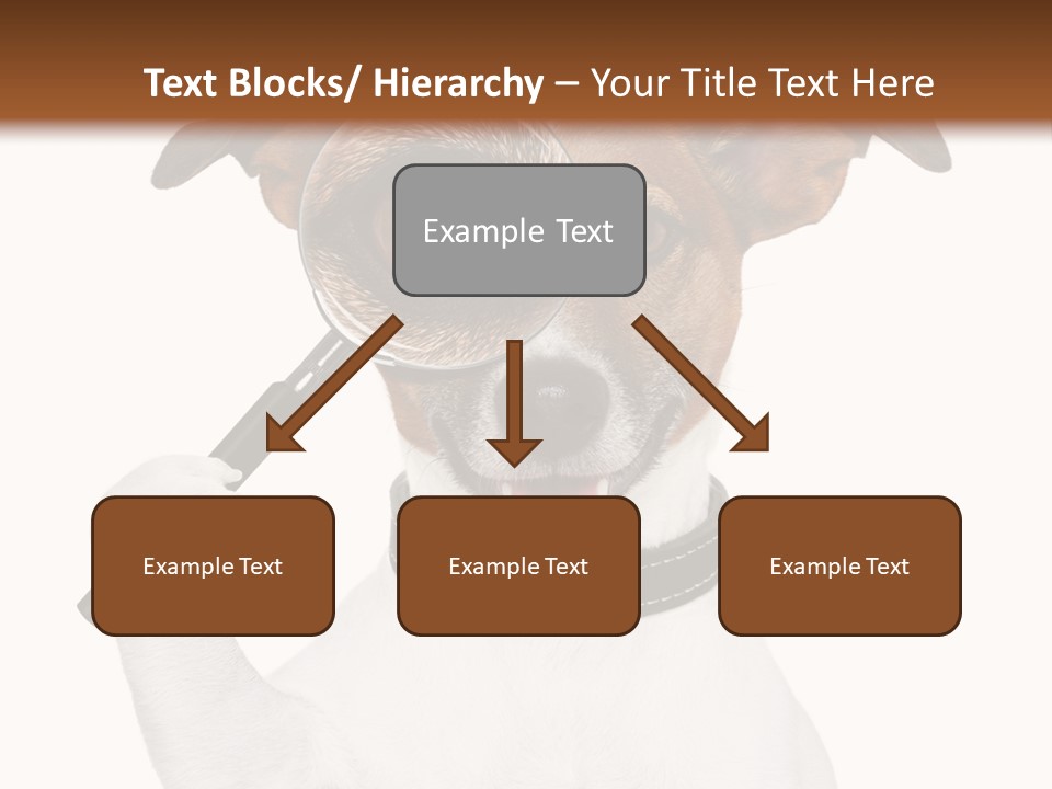 Animal Risk Baby PowerPoint Template