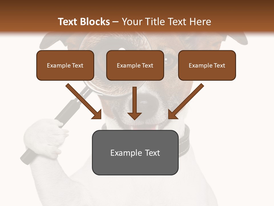 Animal Risk Baby PowerPoint Template