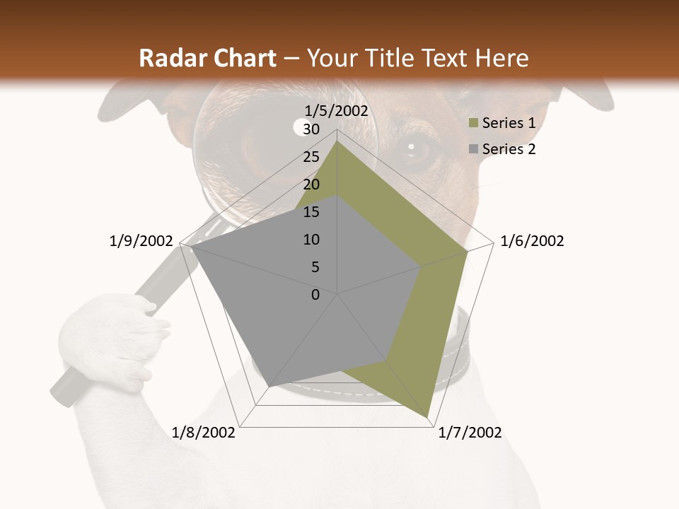 Animal Risk Baby PowerPoint Template