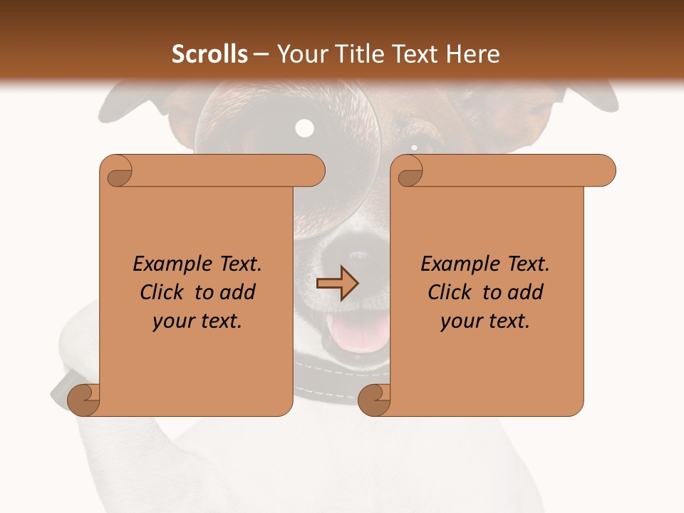 Animal Risk Baby PowerPoint Template