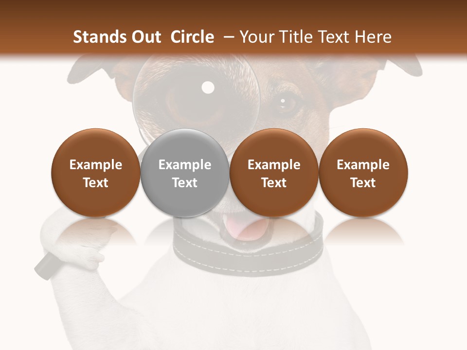 Animal Risk Baby PowerPoint Template