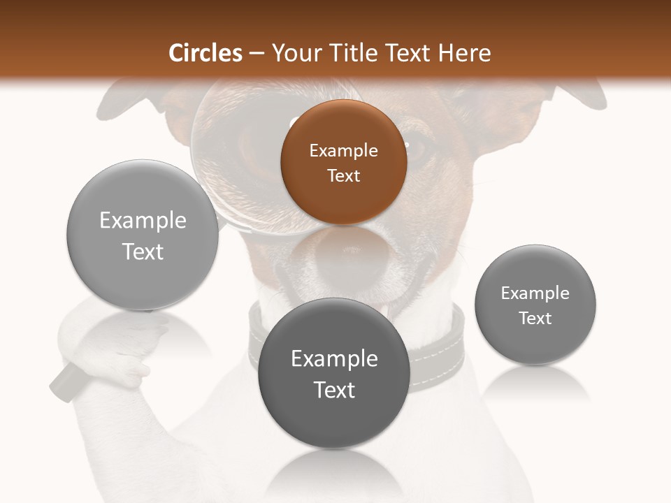 Animal Risk Baby PowerPoint Template