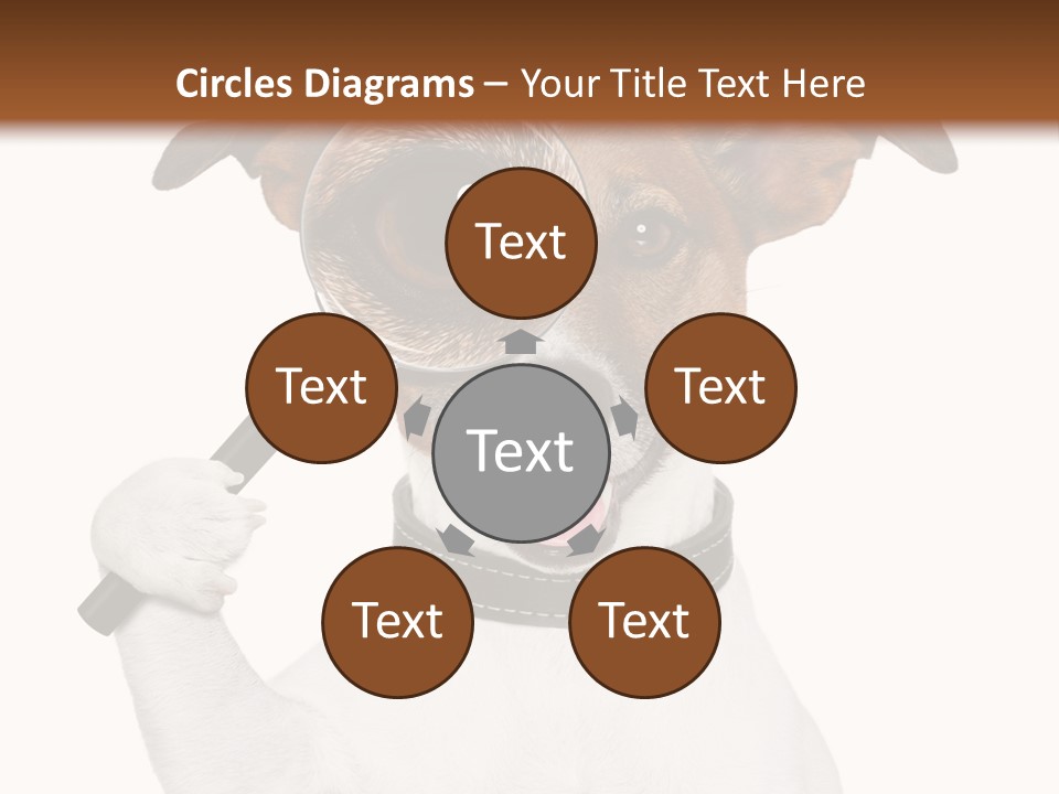 Animal Risk Baby PowerPoint Template