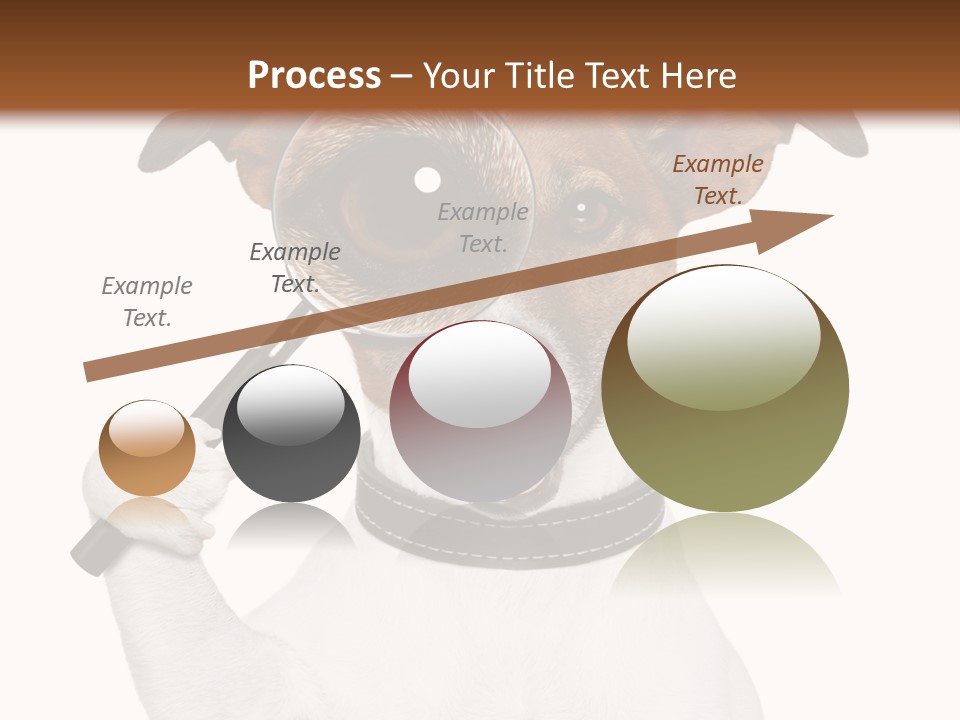 Animal Risk Baby PowerPoint Template