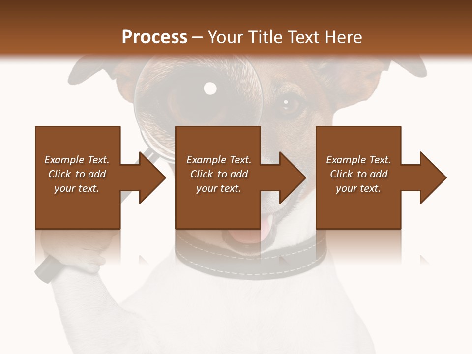 Animal Risk Baby PowerPoint Template