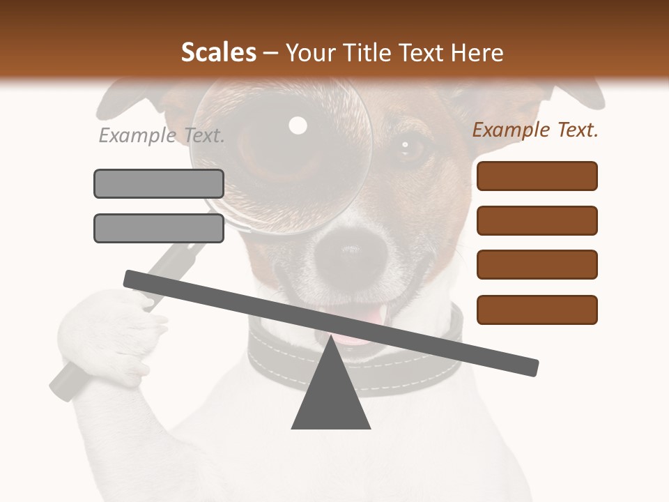 Animal Risk Baby PowerPoint Template