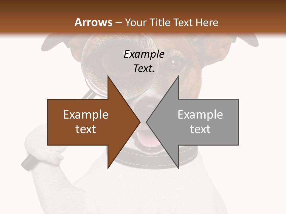 Animal Risk Baby PowerPoint Template