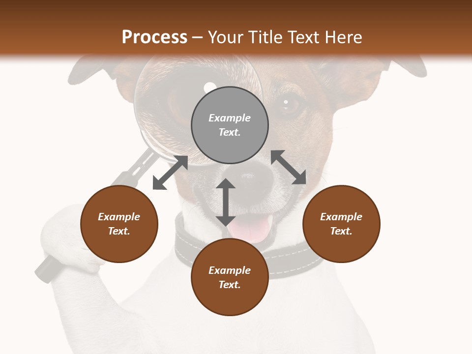 Animal Risk Baby PowerPoint Template