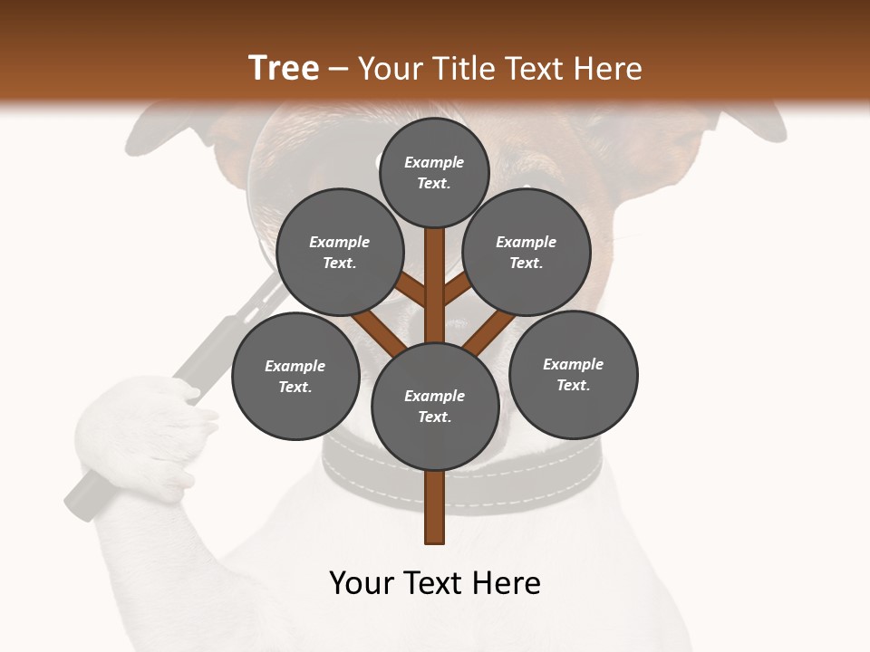 Animal Risk Baby PowerPoint Template