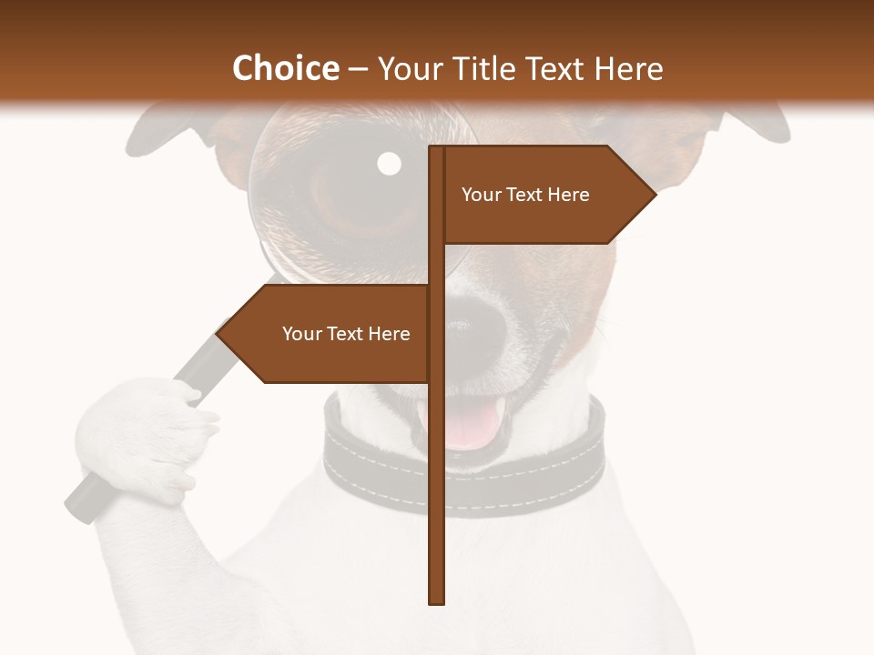 Animal Risk Baby PowerPoint Template