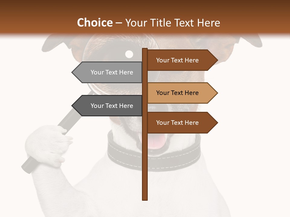 Animal Risk Baby PowerPoint Template