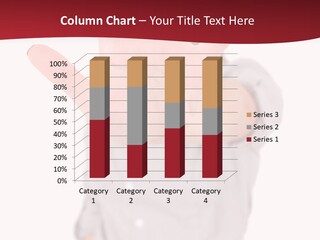 Professional Copy Warning PowerPoint Template