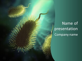 Disease Infections Macro PowerPoint Template