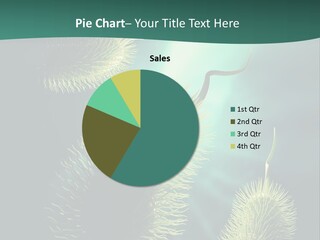 Disease Infections Macro PowerPoint Template