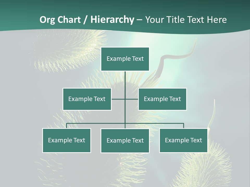 Disease Infections Macro PowerPoint Template
