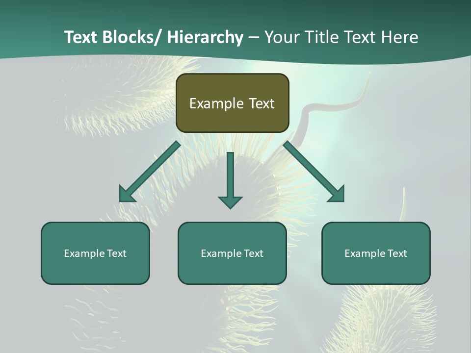 Disease Infections Macro PowerPoint Template