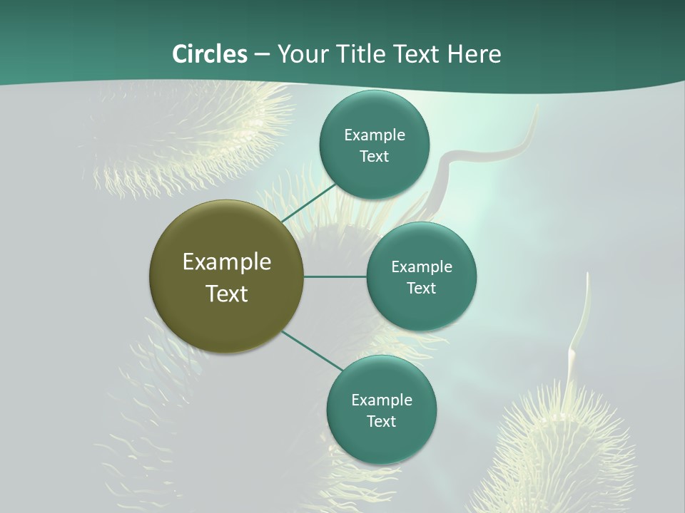Disease Infections Macro PowerPoint Template