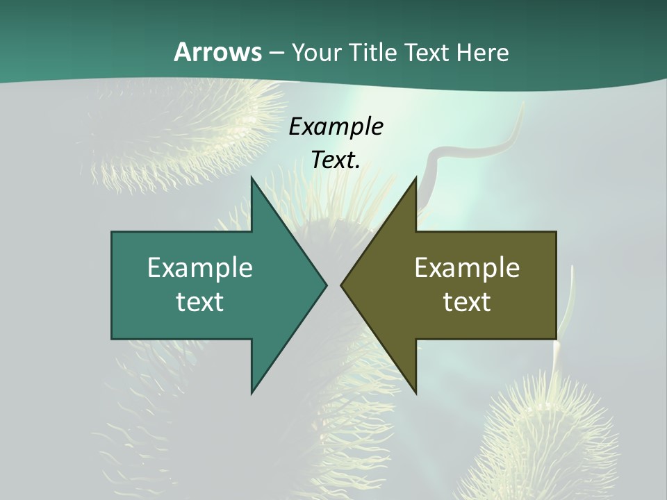 Disease Infections Macro PowerPoint Template