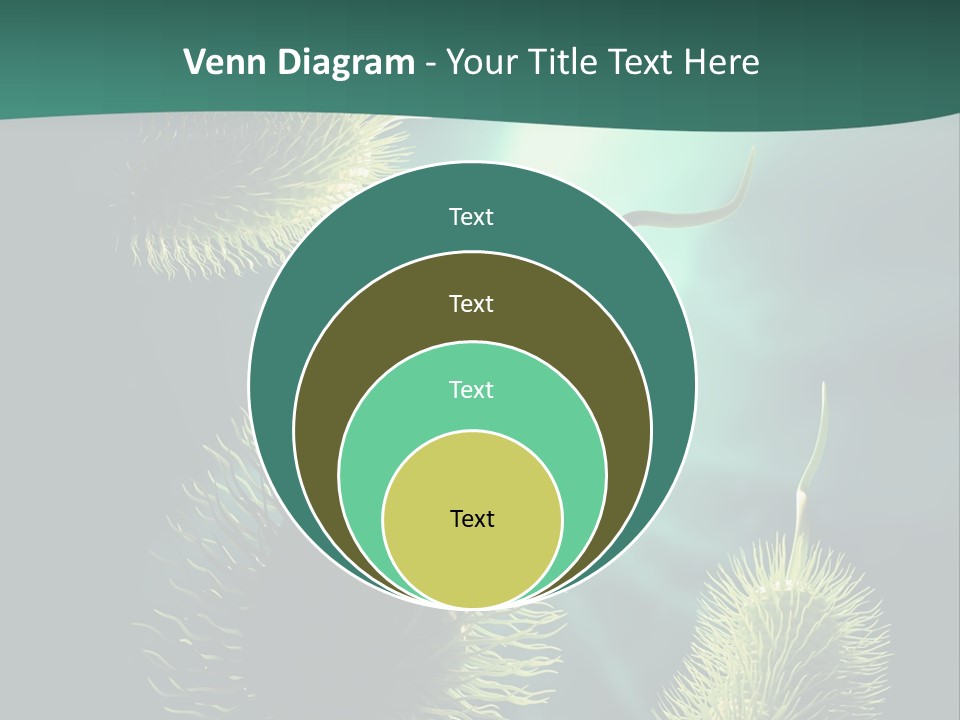 Disease Infections Macro PowerPoint Template