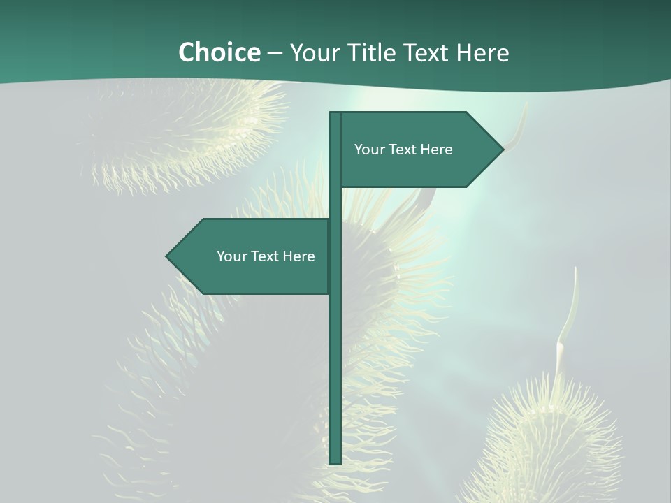 Disease Infections Macro PowerPoint Template