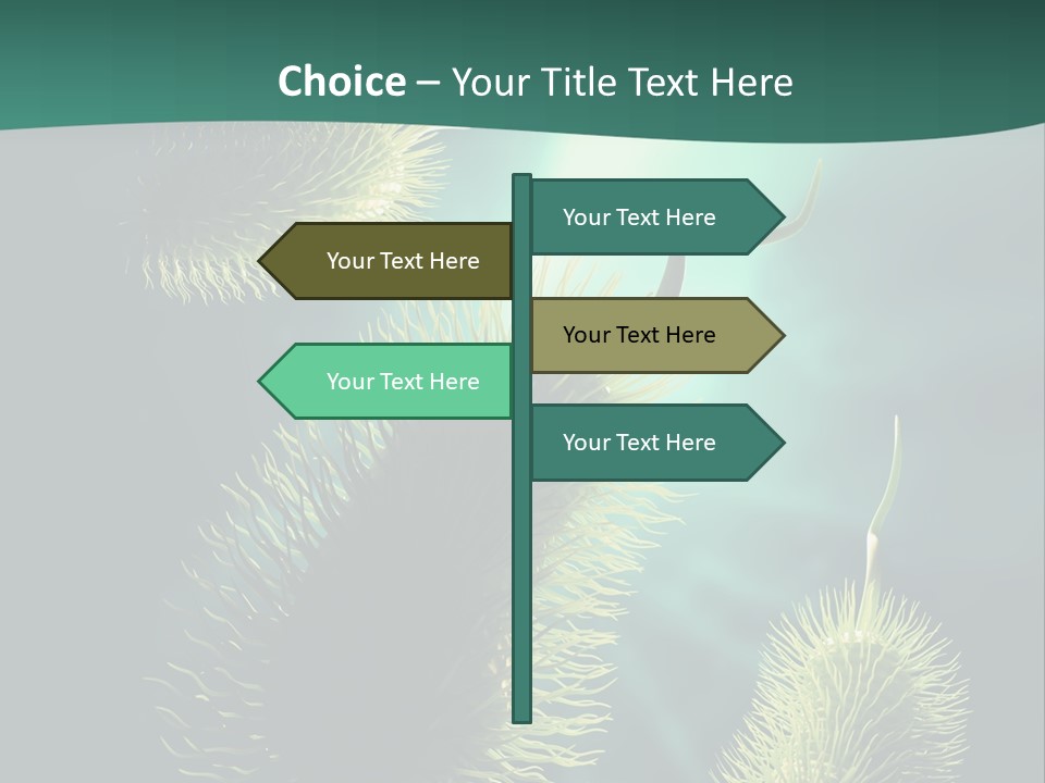Disease Infections Macro PowerPoint Template