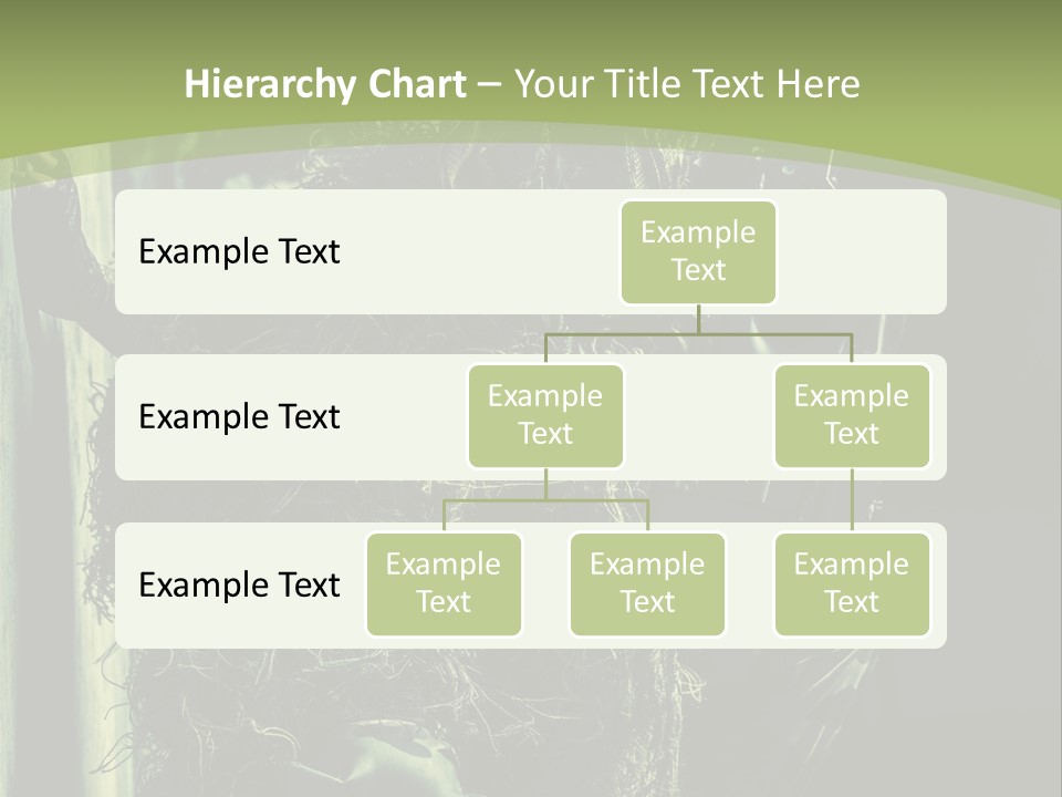Accroupie Arm Cach PowerPoint Template