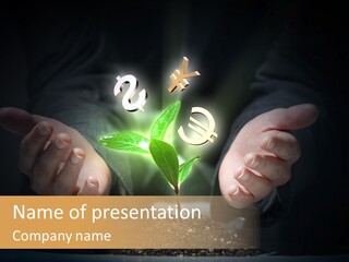 Money Currency Metaphor PowerPoint Template